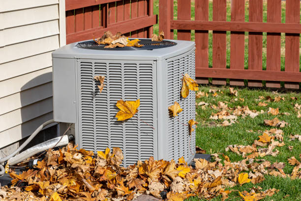 Best HVAC Air Duct Cleaning  in Magnolia, NC